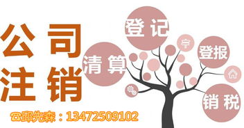 一站式服务 上海各区公司注销、工商注册及商标代理全方位指南