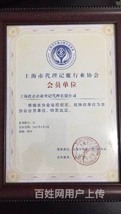 商标代理 企业品牌保护与发展的专业护航者